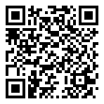 QR-Code - Logo - Fastgaming